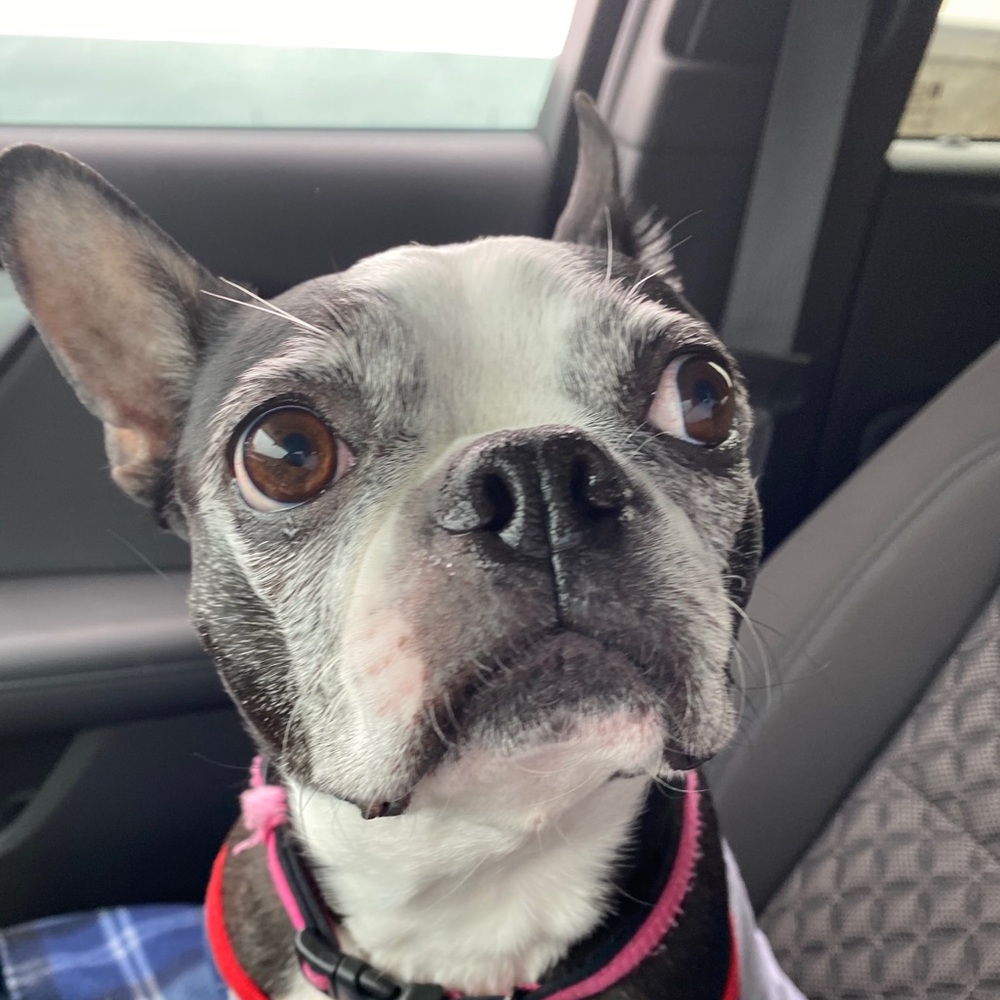 Meet your Posher, Anthony